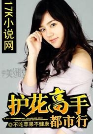 最新章节阅读攻略，护花高手在都市