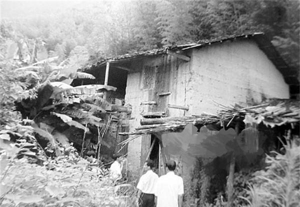 微信最新辟谣揭秘与小巷神秘小店探秘之旅