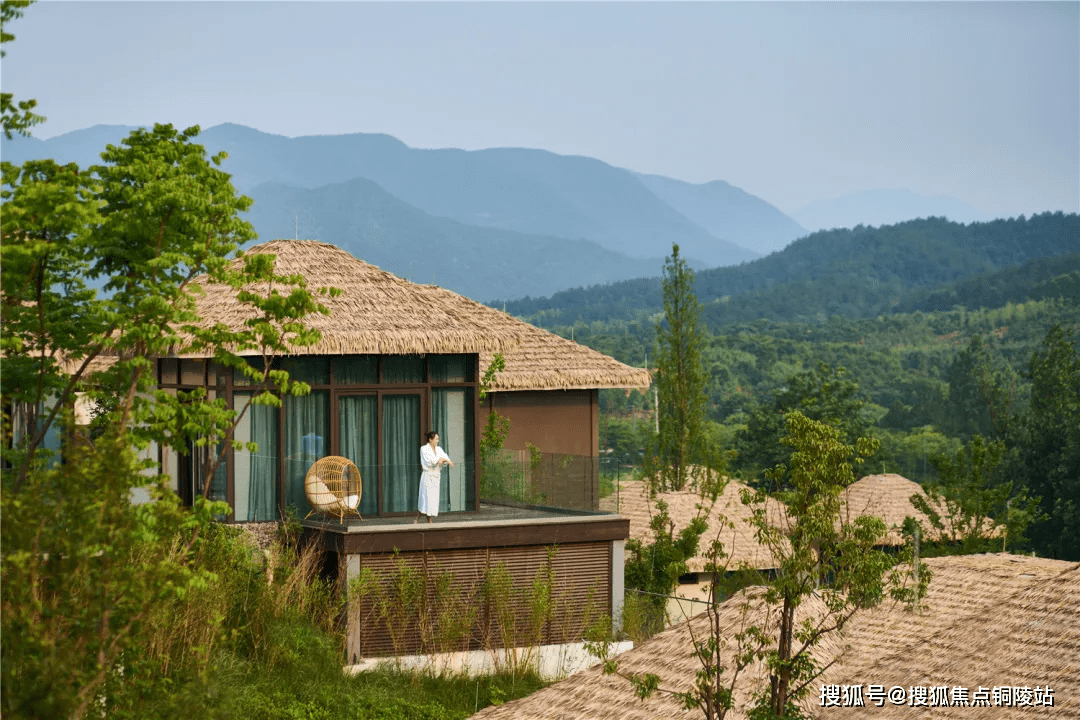 揭秘小巷深处的独特风情小店，31日med最新版探索