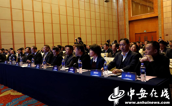 京商商贸城最新动态揭秘，一、商贸城概览