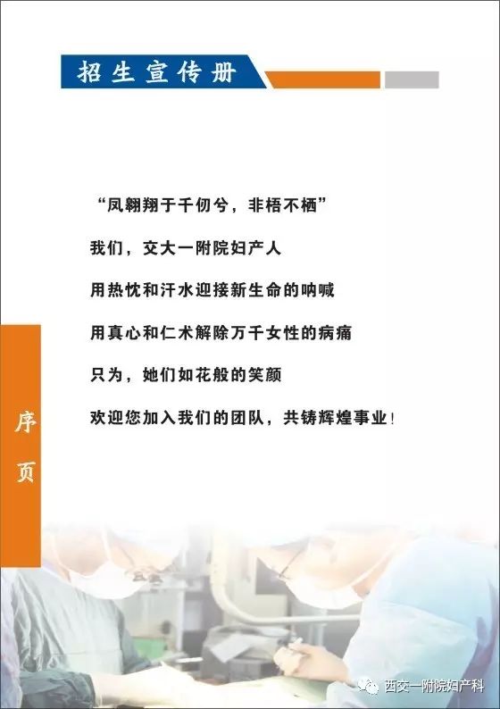 最新论述，关于31日保证责任的深度解析与观点综述