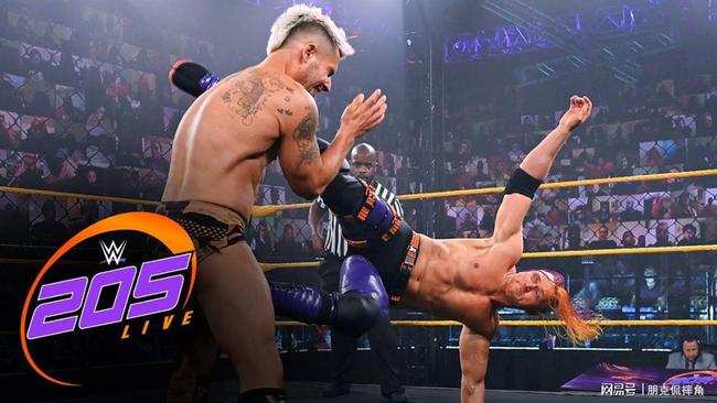 WWE 2015年温馨记忆回顾，欢乐碰撞角斗场最新赛事回顾与体验