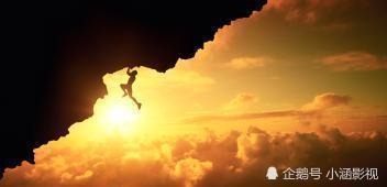 揭秘最新小葫芦榜单，热门话题与现象级案例解析