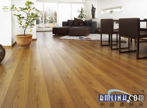 最新木板技术解析与应用前景展望，31日最新木板技术探讨与展望