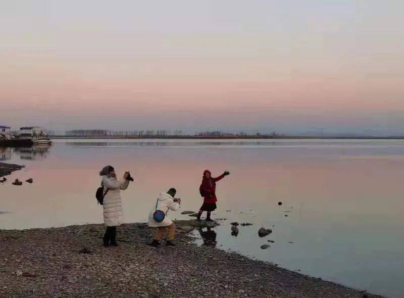 最新猪新闻探索之旅，猪圈宁静与远方诗意结合的自然美景鼓舞人心之旅