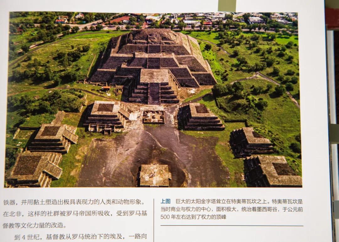 慈城新城新篇章，学习力量涌动，自信种子深植——11月成长见证