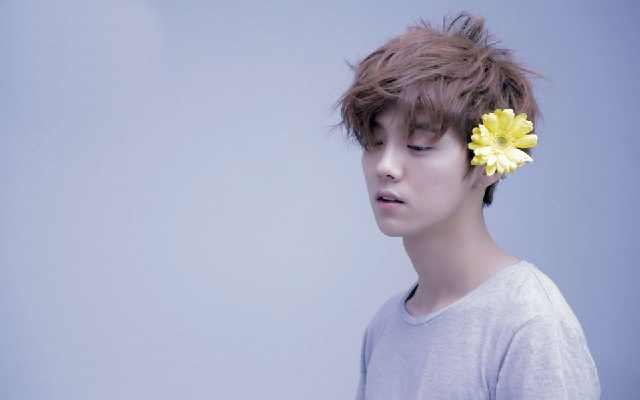 揭秘11月1日热巴鹿晗最新一期，三大看点深度解析与独家爆料