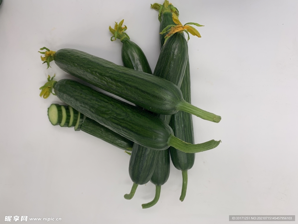 11月1日丝瓜影制作全攻略，初学者与进阶用户的最新指南