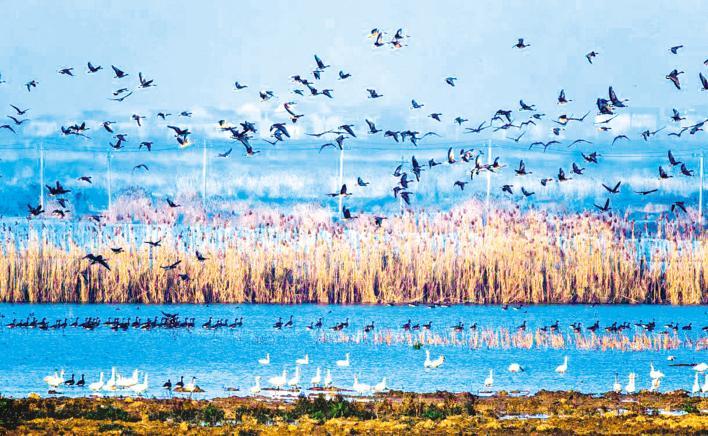 11月全新自然探索之旅，与自然共舞，寻找内心宁静之地