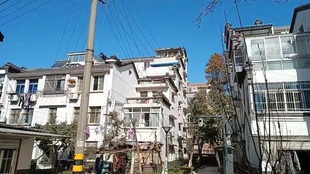 疫情下的独特风景，探寻兰州新区隐秘小巷的特色小店与最新疫情消息