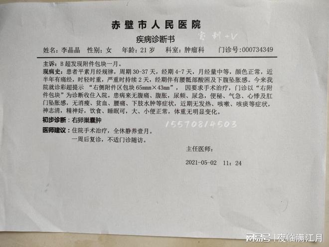 甘肃11月2日最新肺炎病例详解及应对步骤指南