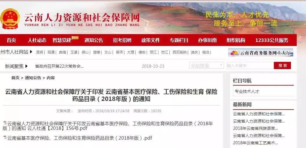 云南省人事调整新篇章，深度解读与展望（附日期）