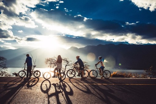 11月3日情迁最新版，与大自然共舞，探寻内心桃花源