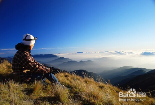 游小浪最新游玩攻略,背景特色与游玩亮点解析