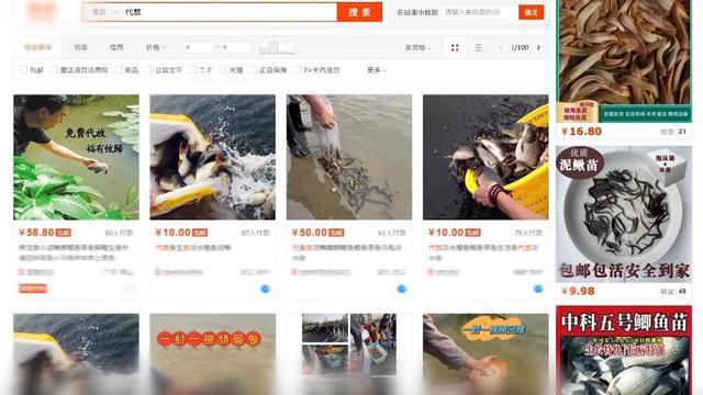 科技新宠来袭，智能物种重塑生活边界