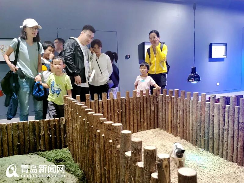 揭秘李瑞小卡最新动态，引领潮流，探索前沿