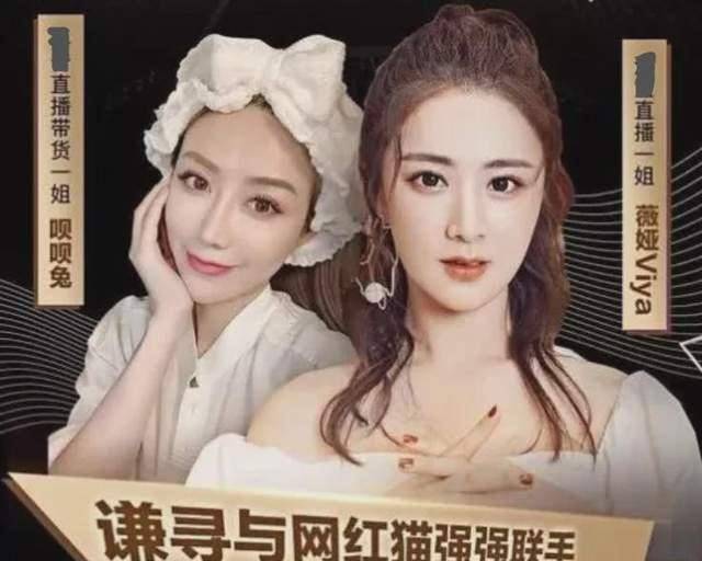 揭秘薇娅最新绯闻，特性、体验、竞品对比及用户群体深度解析