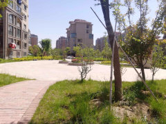 盐城华建颐园最新房价动态及未来展望（揭秘房价走势与最新动态）