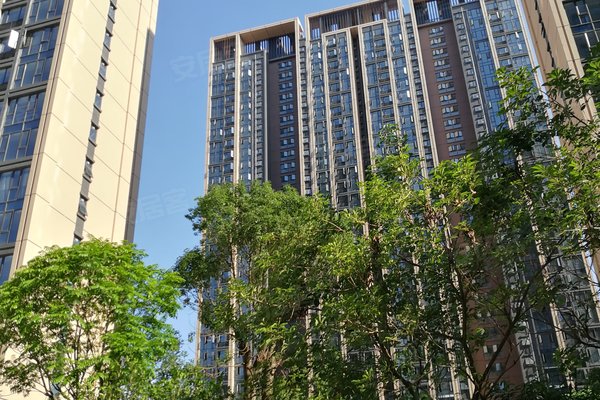 2024年11月4日 第33页