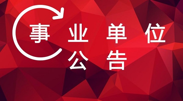 11月4日资阳招聘盛况揭秘，职业机遇与挑战一览