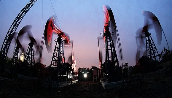 沈阳最新油价下的自然之旅，探寻内心宁静与微笑的旅程