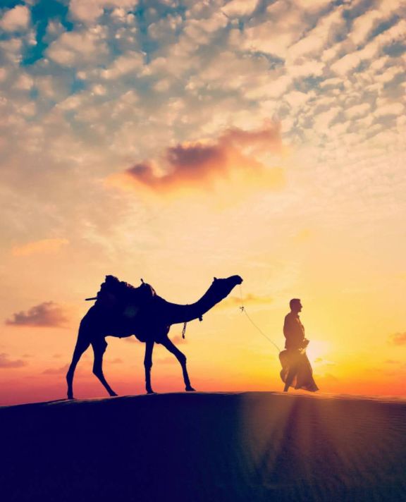 心灵之旅，探寻大自然共舞的日子与最新款的心灵启迪之旅（11月4日）