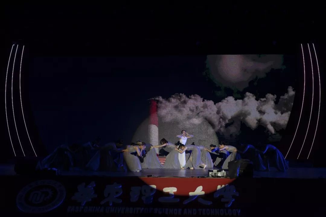 视觉盛宴解读与个人观点，最新高清牛夜盛宴