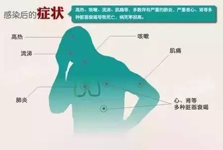 杭州疫情最新动态，日常中的温暖与友情纽带