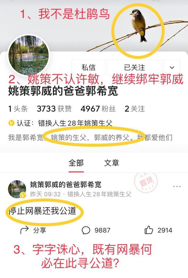 11月4日新坑奇遇，友情、家庭与快乐的温馨日常