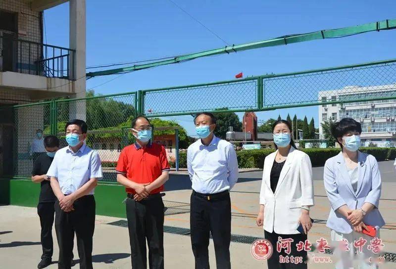 佩最新技能指南（11月4日版），从入门到进阶的完整教程