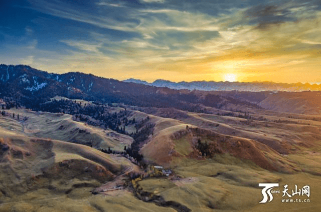 11月4日疫情区最新动态，自然美景下的心灵之旅与微笑的力量