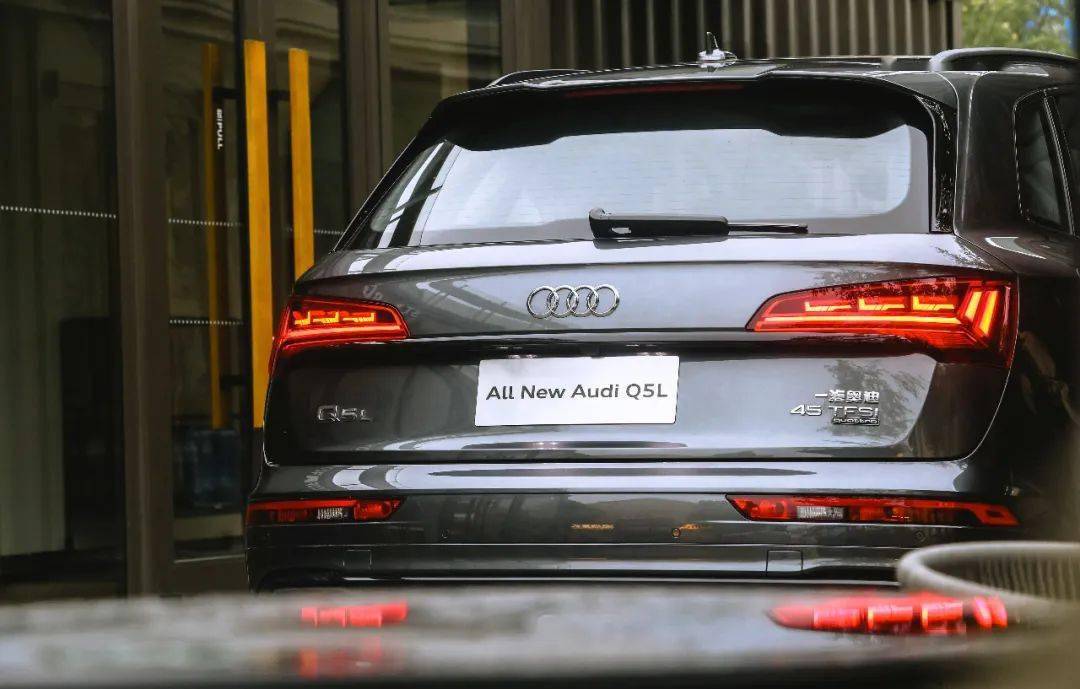 11月4日击坠王崛起，变化中的学习与自信成就感的魔法之旅