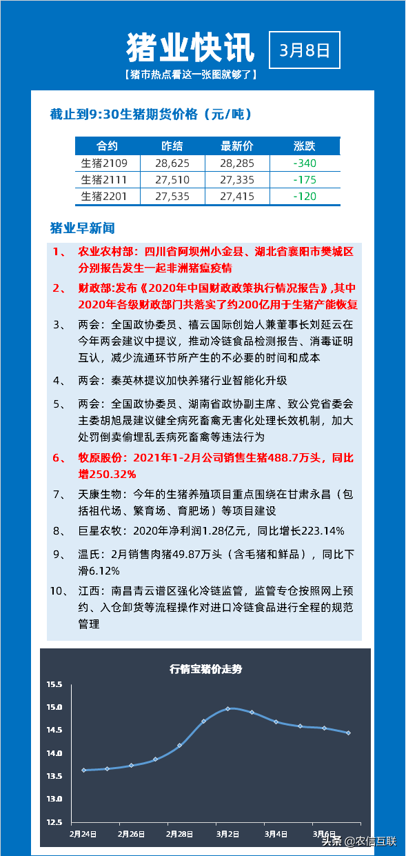 最新猪价疫情动态及应对指南，初学者与进阶用户必备知识（11月4日更新）
