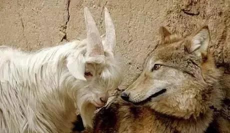 2024年11月4日 第12页