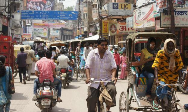 印度进口最新动态解析，聚焦11月4日消息，解读进口趋势与个人观点观察