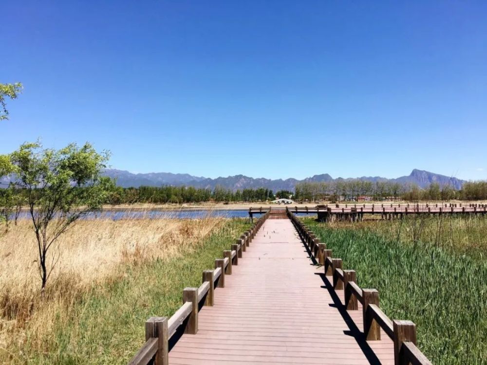 深度解读，11月4日6xoy最新地址及其要点分析