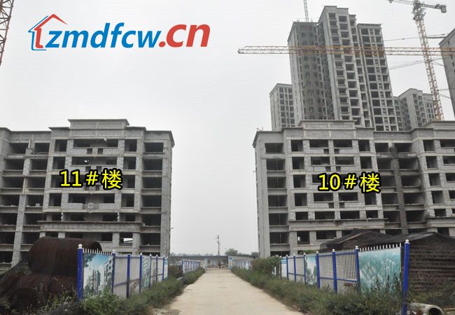 11月5日驻马店上林居最新动态及精彩瞬间全景呈现