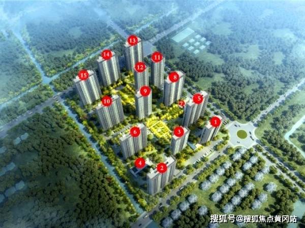 关于11月5日龙bt发布最新地址的详细介绍及要点分析（违法犯罪问题）