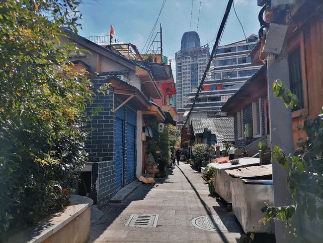 2024年11月5日 第31页