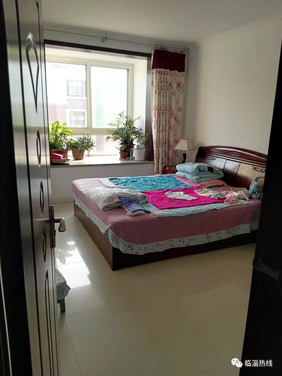 11月5日金寨江店租房最新信息及优质房源推荐与租赁指南