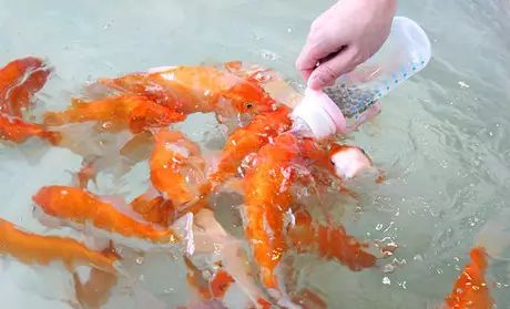 温馨友情派对尽在嗨鱼日常，11月5日的精彩瞬间