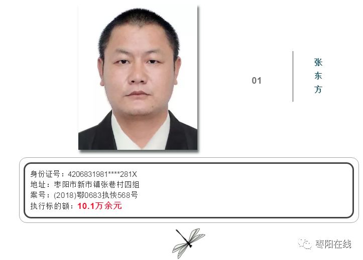 11月6日枣阳至琚湾路最新动态及未来展望，改造进展与道路发展展望