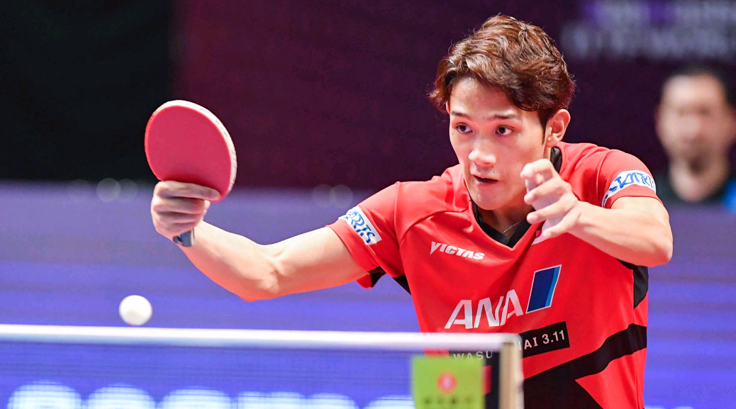 11月6日高平房价最新动态及解读