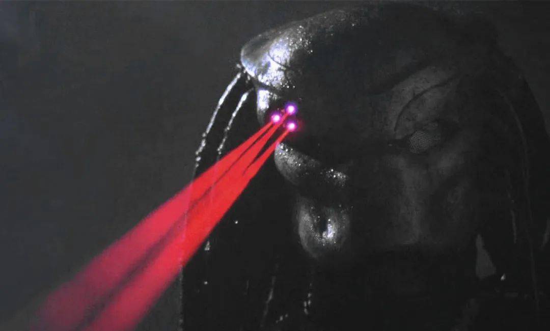 铁血战士新篇章，11月6日的温馨日常故事