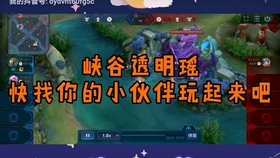 揭秘科技新星，苏铭鹿瑶最新智能产品引领未来生活革新揭秘