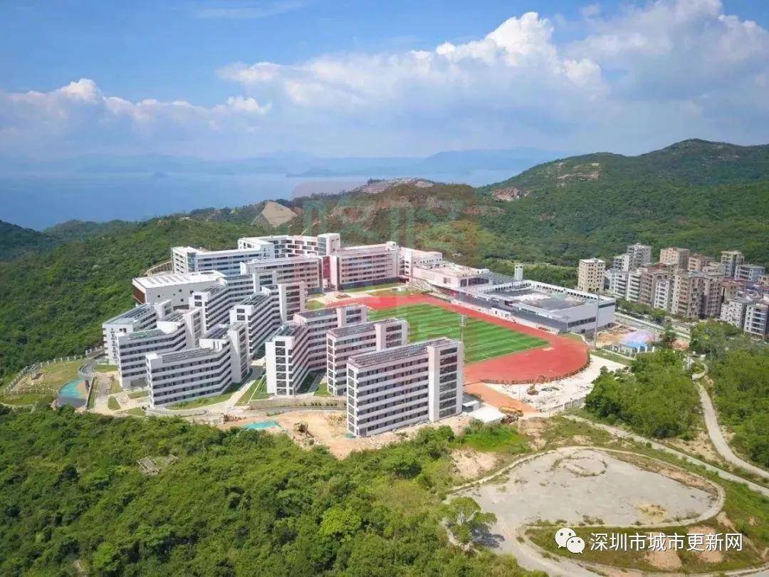 11月6日仁寿兼职最新动态，探寻新机遇，解析地区兼职趋势