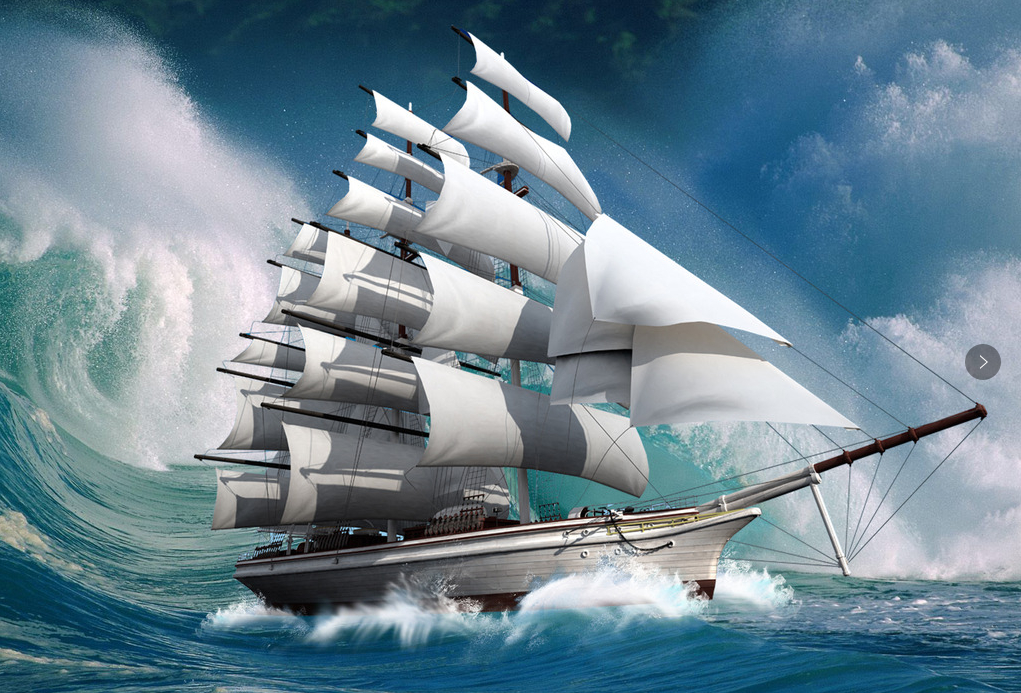 11月6日船舶拍卖盛大启幕，探索自然美景的梦幻之旅