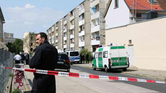 2024年11月8日 第25页