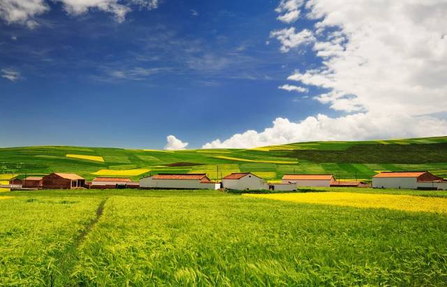 长油新篇章启程，探寻自然美景的秋日旅程