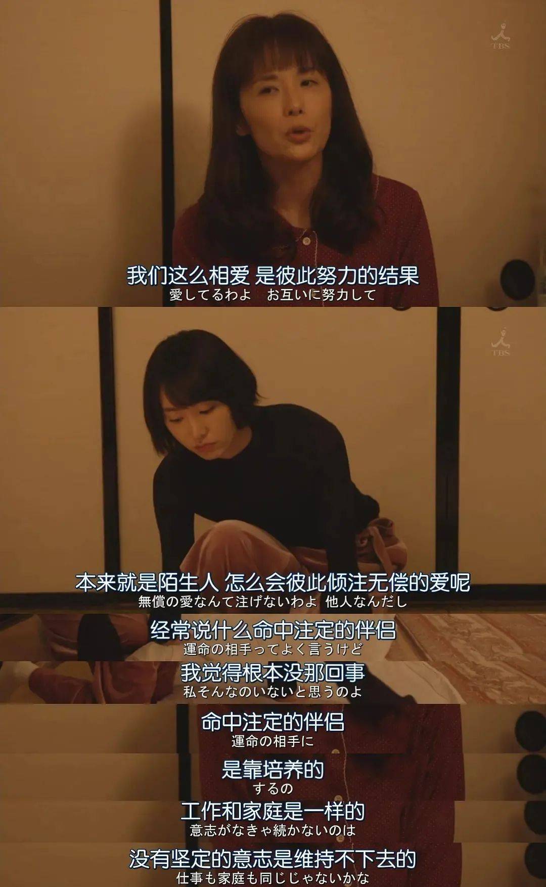 11月6日恋活最新版，开启恋爱生活新篇章